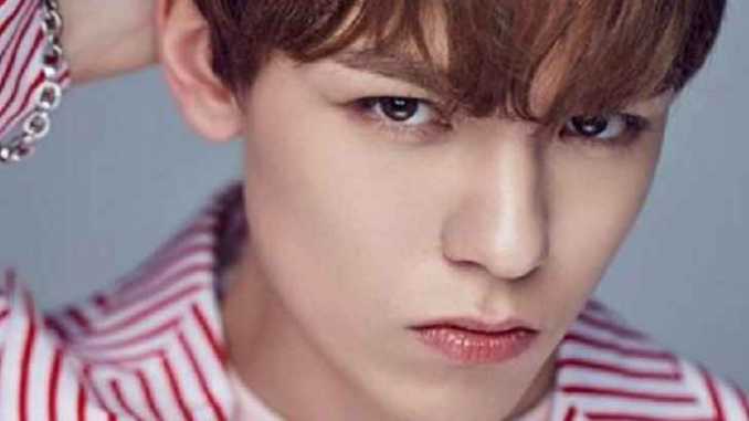 Vernon Seventeen Bio, Wiki, Net Worth Height, Affairs, Girlfriend & Siblings