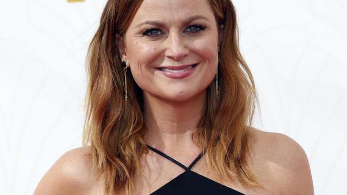 Amy Poehler Bio, Birthday, Height, Weight, Boyfriend ,Husband, Dating, Affair, Married, Profession, Religion,Networth, Ethnicity, Nationality, Fact & Career Amy Poehler