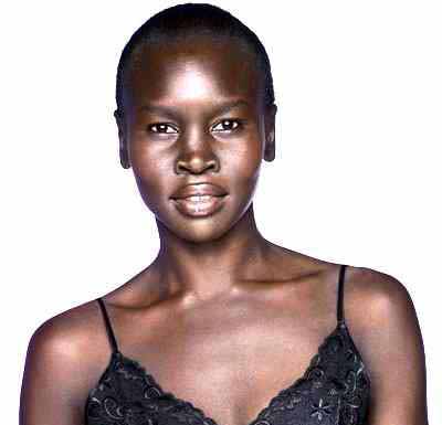 Alek Wek Bio