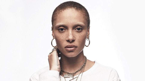 Adwoa Aboah Bio, Height, Wiki, Net Worth & Married