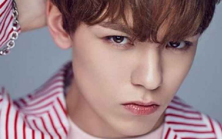 Vernon Seventeen Bio, Wiki, Net Worth Height, Affairs, Girlfriend & Siblings