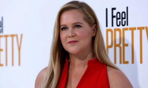 Amy Schumer Bio, Wiki, Net Worth, Husband, Married & Height