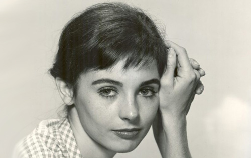 Millie Perkins Bio, Age, Net Worth, Married and Husband