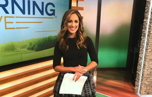 Reporter and news anchor Chantel Mccabe image