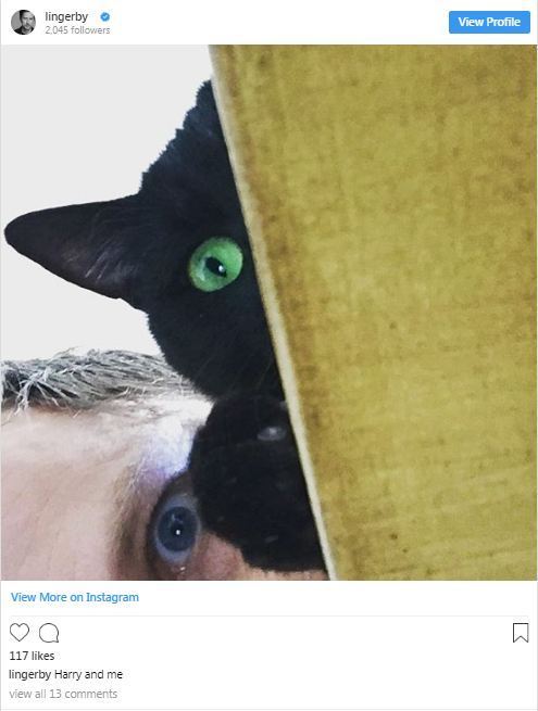 Photo of a cat which Lee Ingleby gifted to his girlfriend