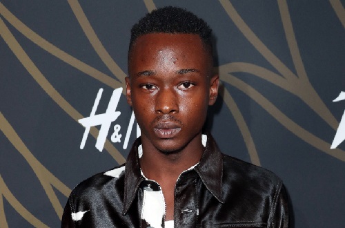 Ashton Sanders Age, Height, Dating, Affairs, Girlfriend, Net Worth, & Bio