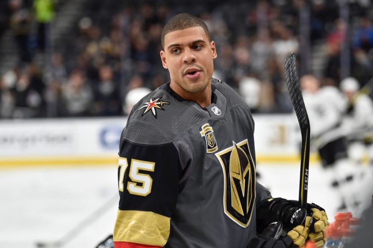 NHL Wives and Girlfriends — Alanna and Ryan Reaves [Source]