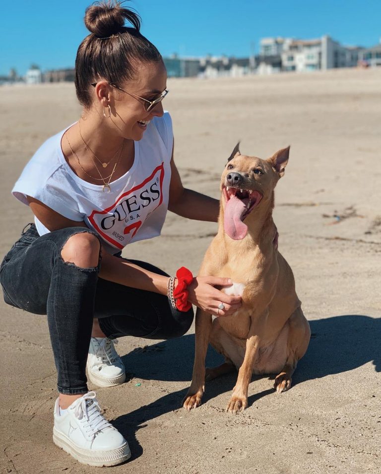 The famous MAXIM model Casey Boonstra enjoys impressive Net Worth